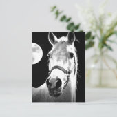 Paarden en maan briefkaart (Staand voorkant)