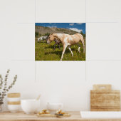 Paarden en muildieren poster (Keuken)