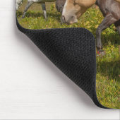 Paarden en Muilezels Muismat (Hoek)