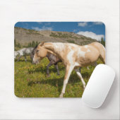 Paarden en Muilezels Muismat (Met muis)