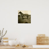 Paarden en schaduwen poster (Keuken)
