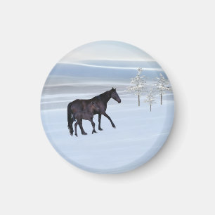 Paarden en veulen in sneeuw magneet