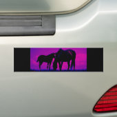 Paarden en vissen bumpersticker (Op auto)