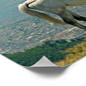 Paarden en vulkaan, Quito, Ecuador Poster (Hoek)