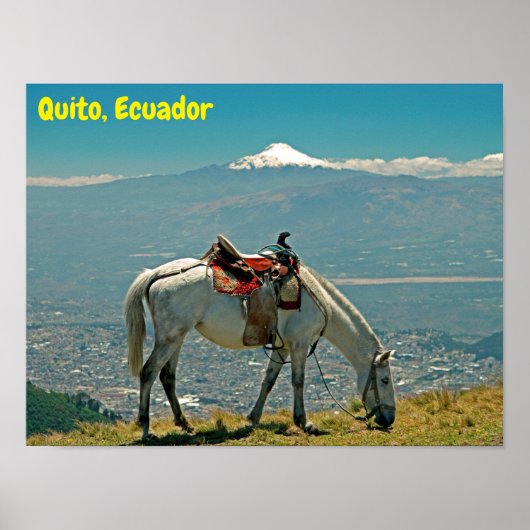 Paarden en vulkaan, Quito, Ecuador Poster (Voorkant)