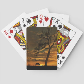 paarden- en zonneschermen pokerkaarten