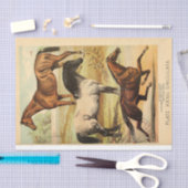  paarden Ephemera Decoupage Tissuepapier (Craft)
