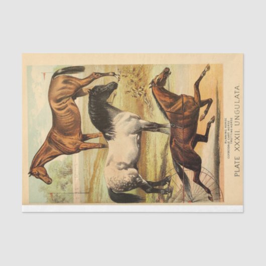  paarden Ephemera Decoupage Tissuepapier (Voorkant)