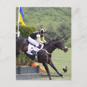 Paarden Eventing Briefkaart