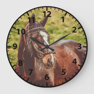 Paarden Foto Aanpasbare Paarden Klok