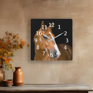 Paarden Foto Bruin Wit Quarter Horse Genummerd Vierkante Klok