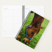 Paarden Foto van Equine Grazing Chestnut Stripe Planner (Display)
