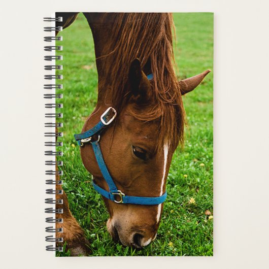 Paarden Foto van Equine Grazing Chestnut Stripe Planner (Voorkant)