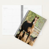 Paarden Foto van paardenpest Planner (Display)