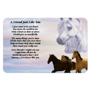 Paarden Friend Poem Magnet Magneet