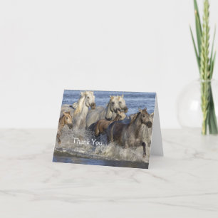 Paarden galopperen in het water bedankkaart