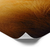 Paarden galopperen over de weide poster (Hoek)