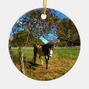 Paarden, geschilderd, keramisch ornament