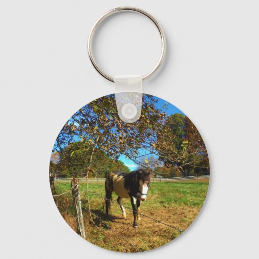 Paarden, geschilderd, sleutelhanger (Voorkant)