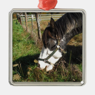 Paarden, geverfd, koningin en koningsbloem metalen ornament