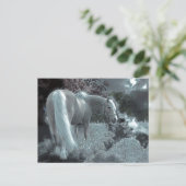 Paarden grazen in de maan briefkaart (Staand voorkant)