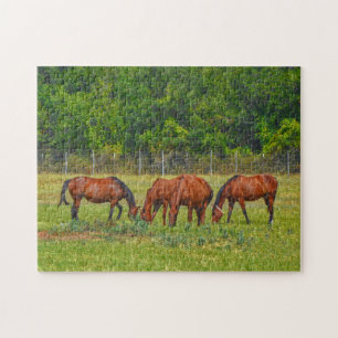 paarden grazen in een groene weide puzzel