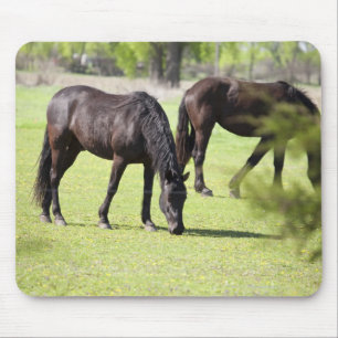 paarden grazen op een paardenpaard muismat