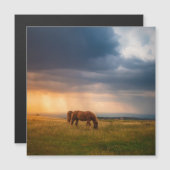 Paarden grazen op stormachtige dag (Voorkant / Achterkant)