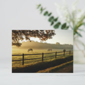 Paarden Grazing in zonnestralen Bedankkaart (Staand voorkant)