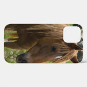Paarden Hallo iPhone Case (Achterkant (horizontaal))
