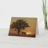 Paarden Happy Birthday Beauful Day met eik-boom
