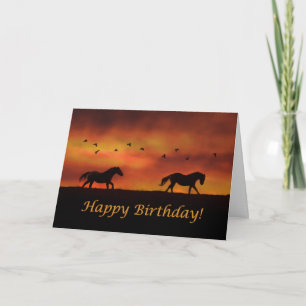 Paarden Happy Birthday Kaart