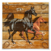 Paarden Hoefijzers Barn Wood Cowboy