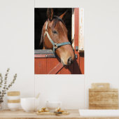 Paarden in Barn Poster (Keuken)
