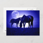 Paarden in Blue Night Briefkaart (Voorkant / Achterkant)
