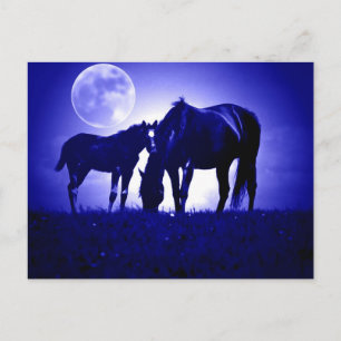 Paarden in Blue Night Briefkaart