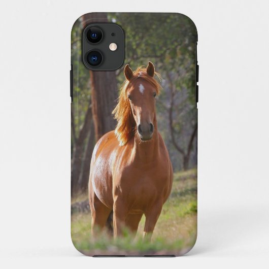 Paarden in de Bossen Case-Mate iPhone Case (Achterkant)