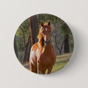 Paarden in de Bossen Ronde Button 5,7 Cm