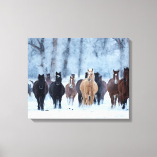 Paarden in de kou canvas afdruk