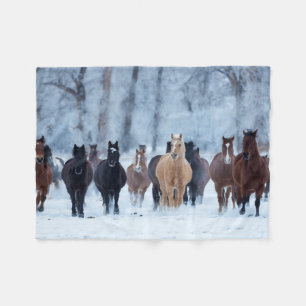 Paarden in de kou fleece deken