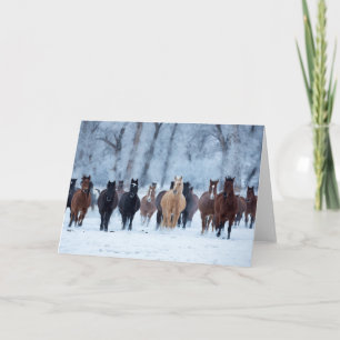 Paarden in de kou kaart