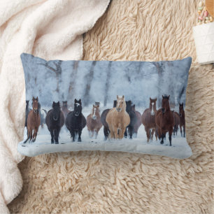 Paarden in de kou kussen