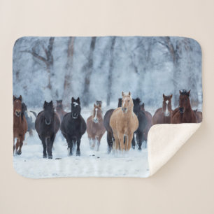 Paarden in de kou sherpa deken