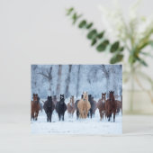 Paarden in de koude briefkaart (Staand voorkant)