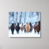 Paarden in de koude canvas afdruk (Voorkant)