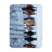 Paarden in de koude magneet (Verticaal)