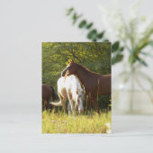 Paarden in de Meadow Briefkaart (Staand voorkant)