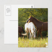 Paarden in de Meadow Briefkaart (Voorkant / Achterkant)