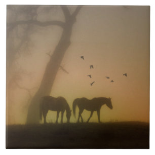 Paarden in de Mist Art Tile Tegeltje