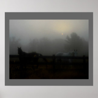 Paarden in de mist poster